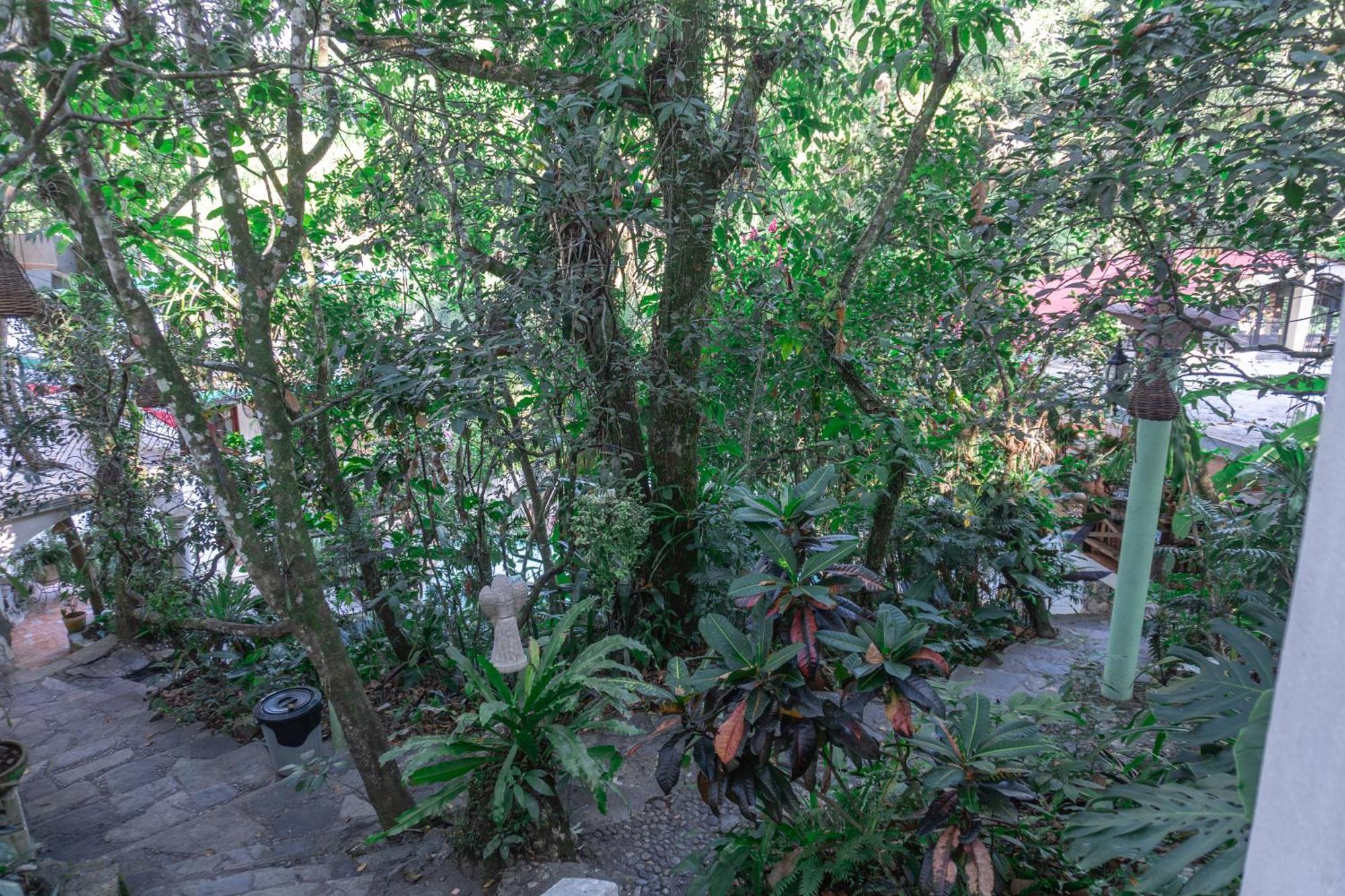 Hotel Paraiso Encantado Xilitla Exterior foto